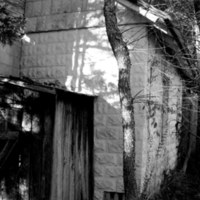 44a - Piney Grove Baptist Church (Closed) - almost swallowed by nature.jpg