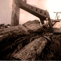 logging 7 (1).png