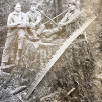 Loggers Posing on a Stump (Washington)