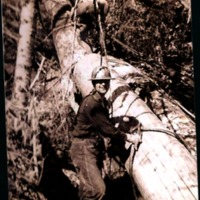 logging 8 (2).png